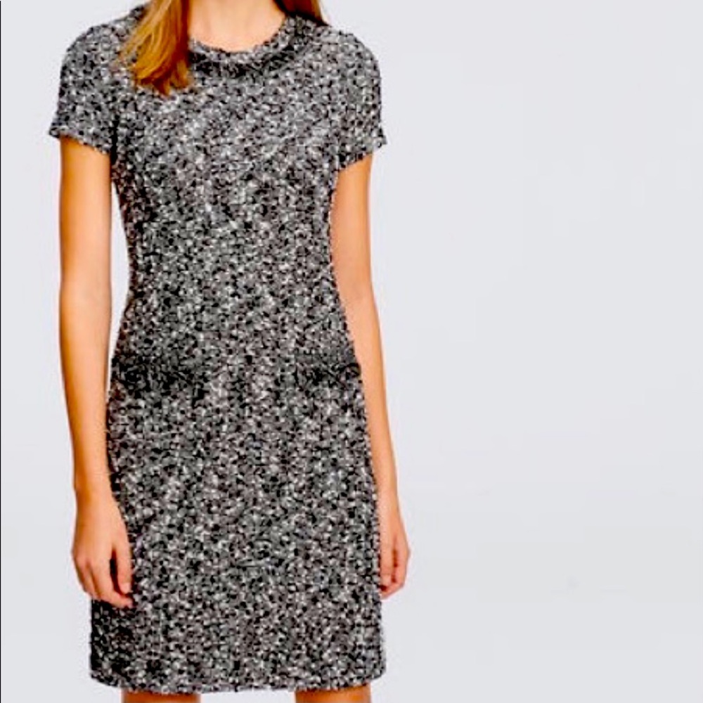 Ann Taylor black white tweed fringe dress